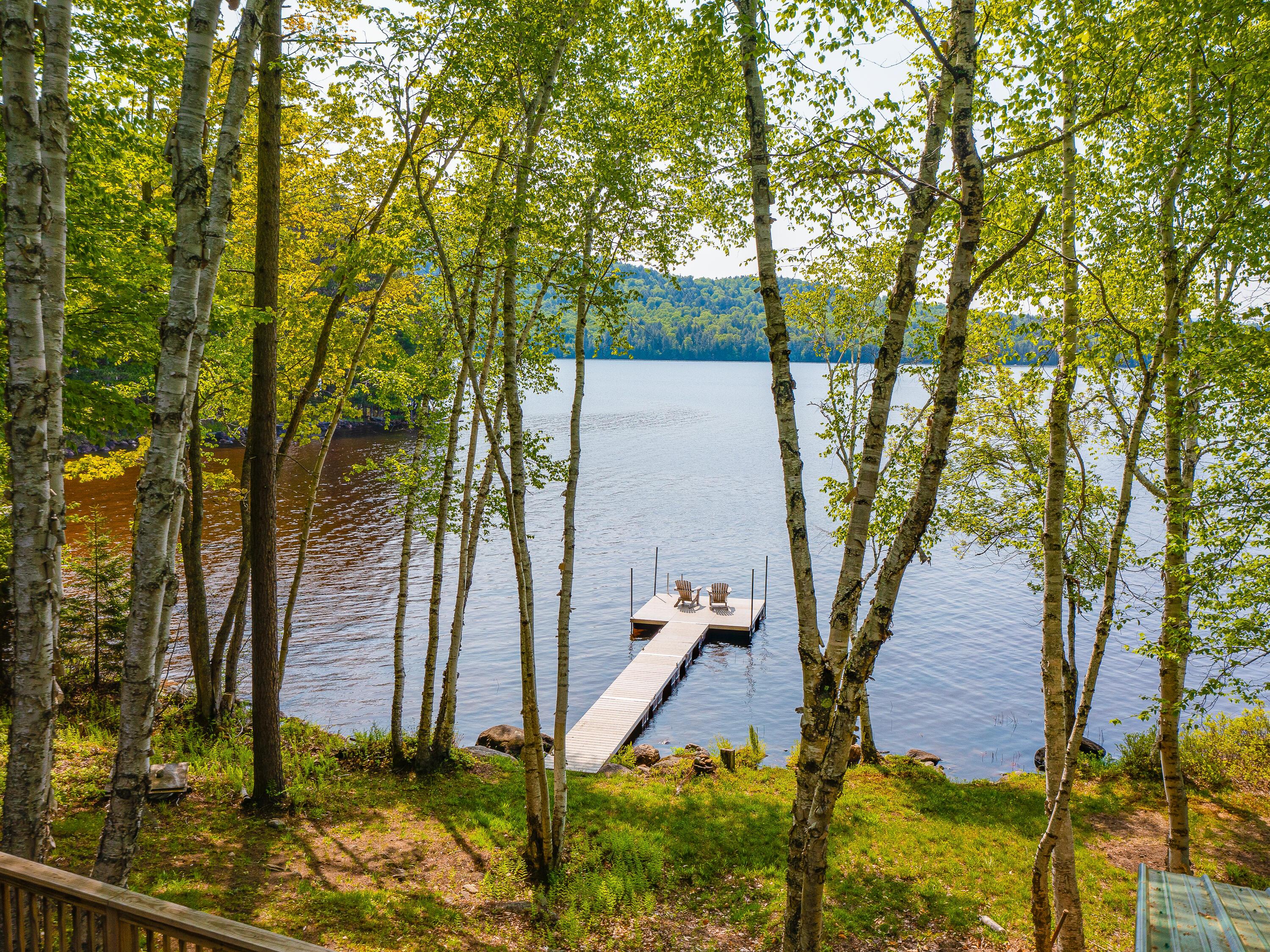 Image 4: 4 PorchBirchDock