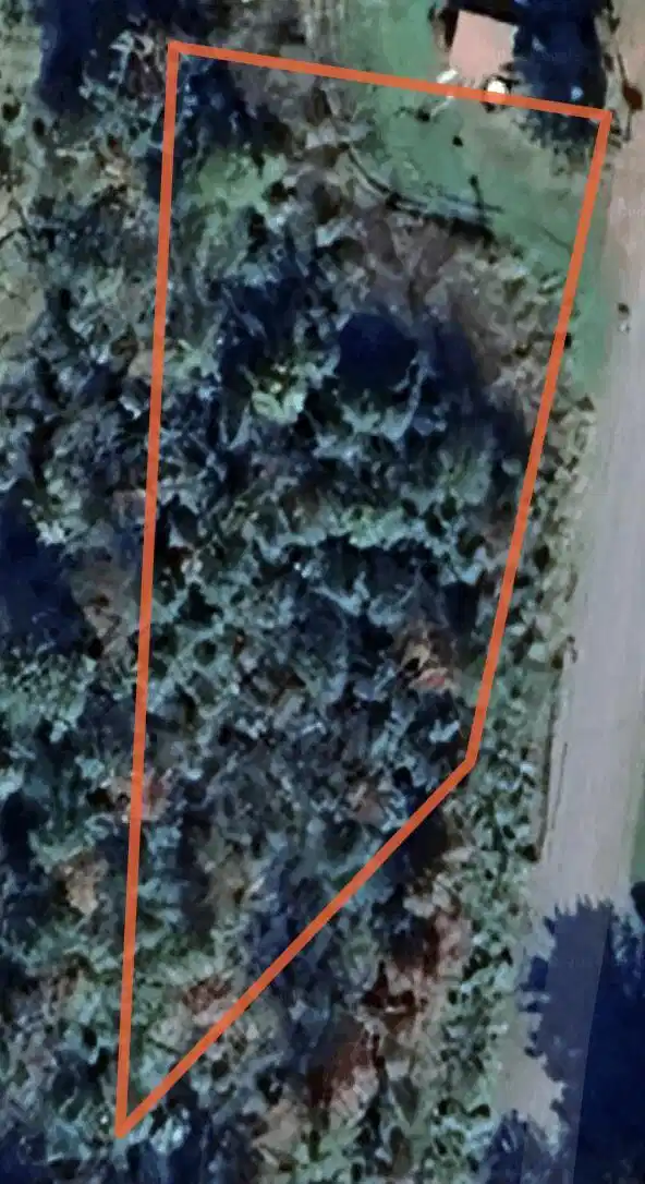 Image 1: Parcel
