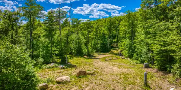 135 Mountain