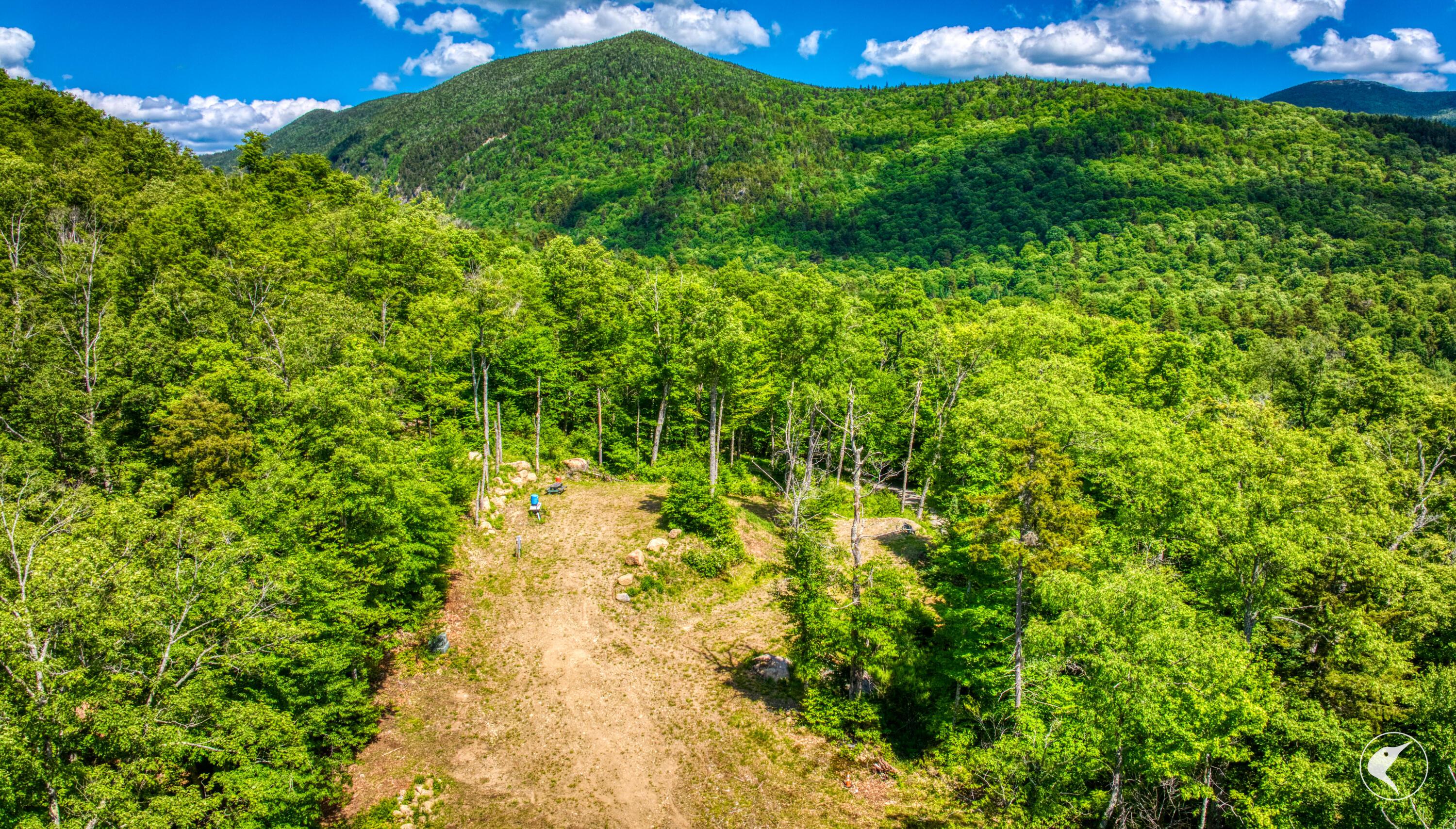 Image 4: DJI_20260613145023_0238_D