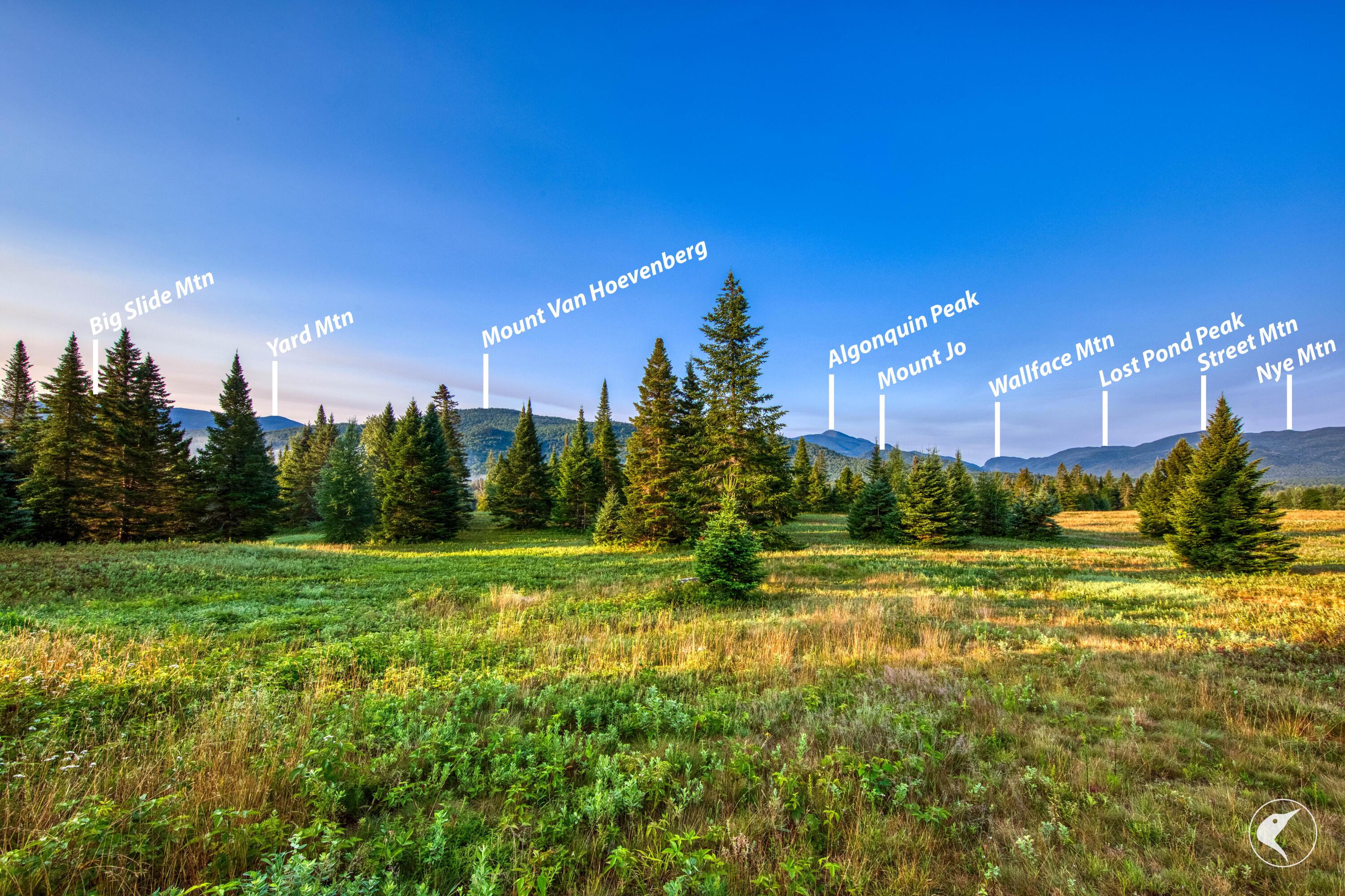 Image 2: AA7A1814-mtn