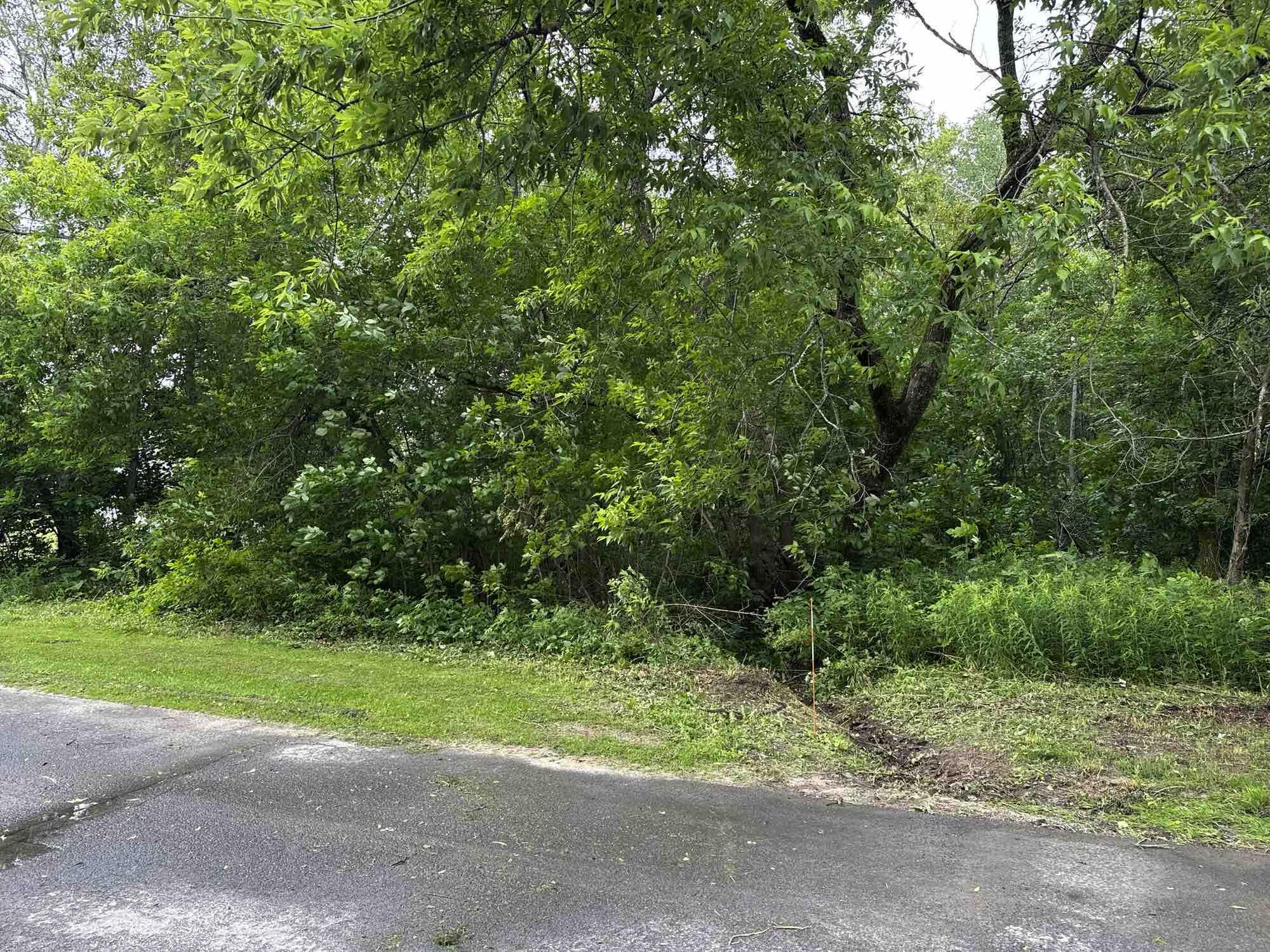 Image 2: Roadside