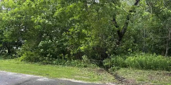 Image 2: Roadside