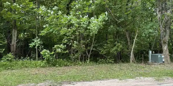 Image 2: Roadside View
