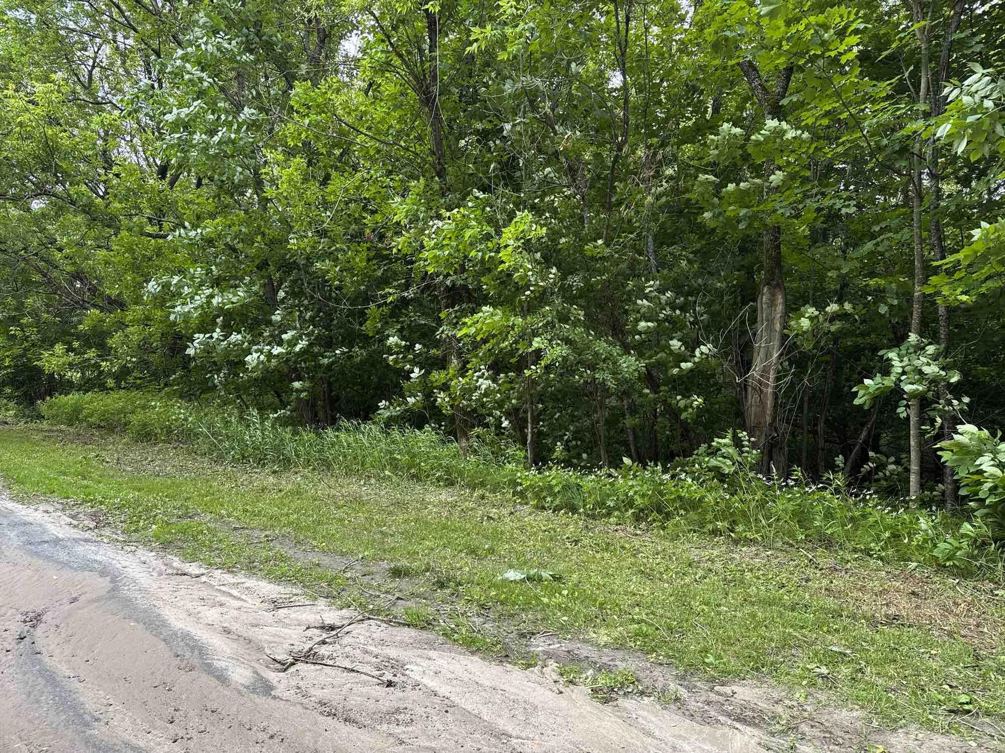Image 3: Roadside View