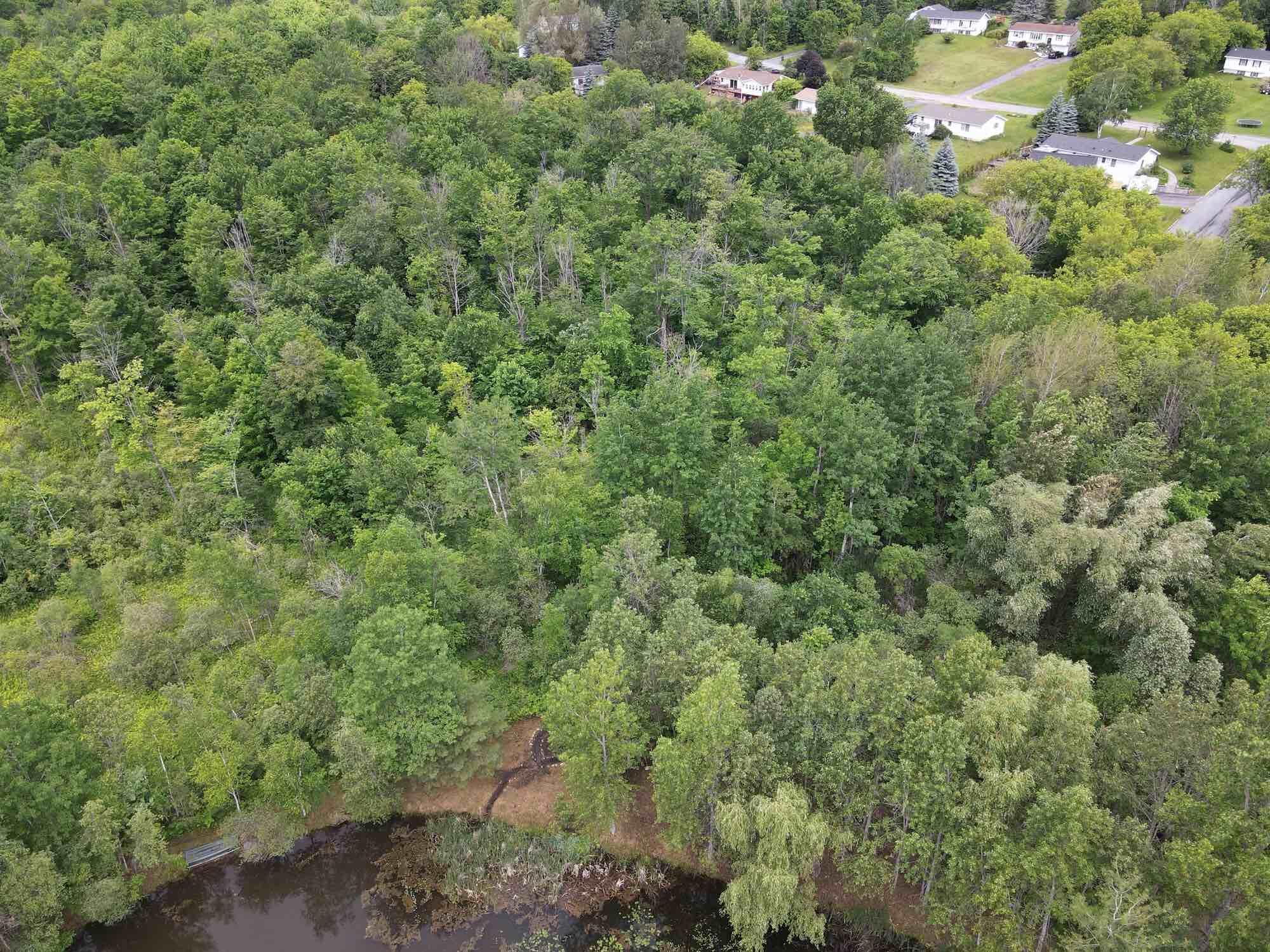 Image 3: Overhead