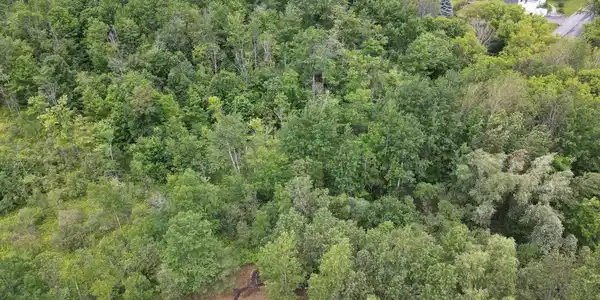 Image 3: Overhead