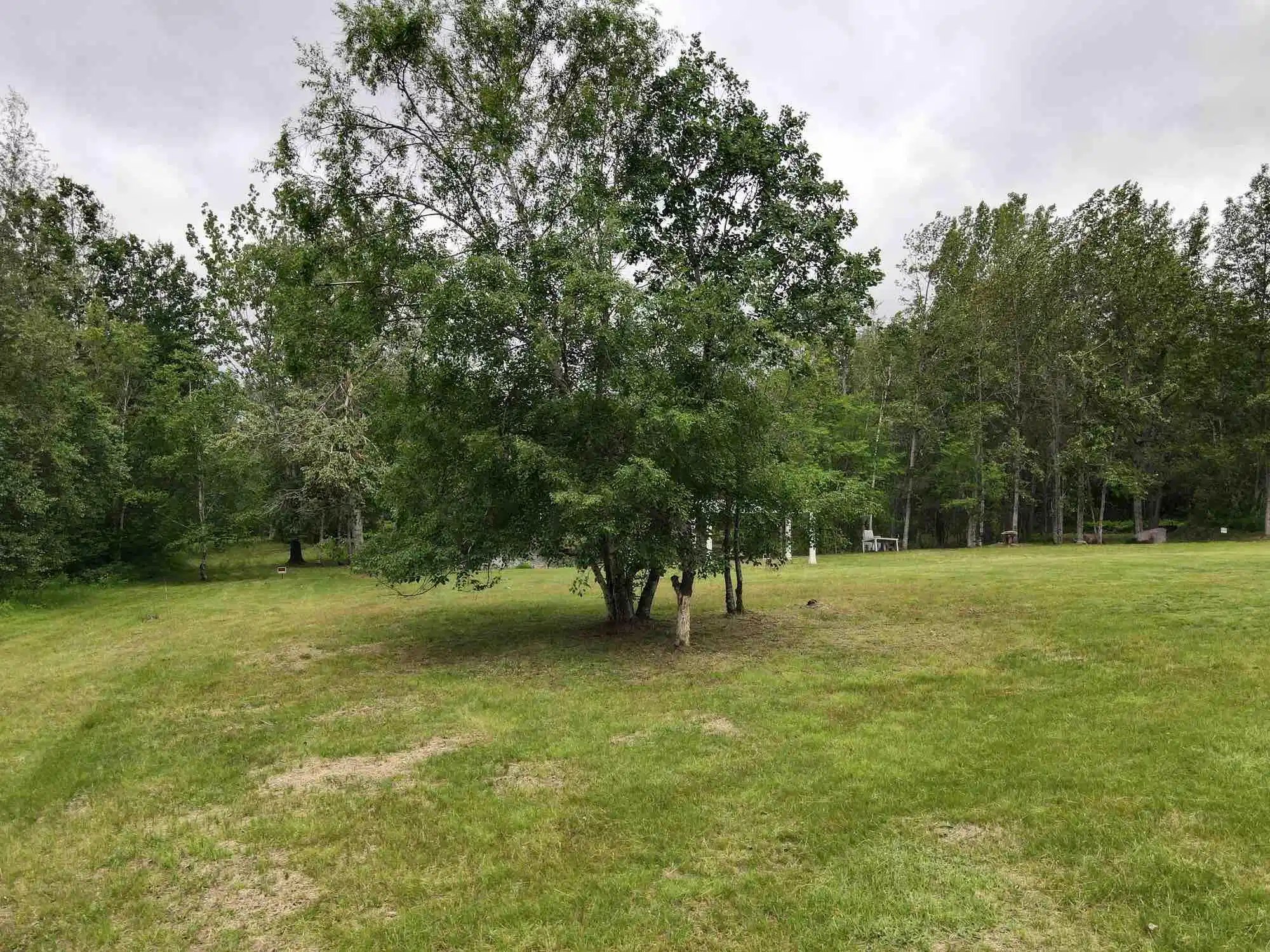 Image 1: Land