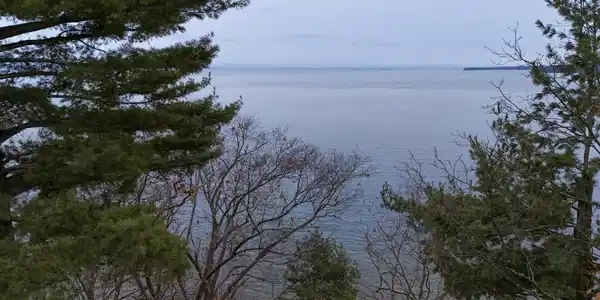 Image 2: DJI_20231207131144_0045_D