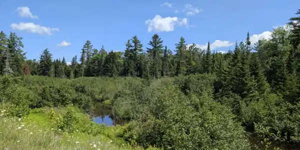 10279 Adirondack