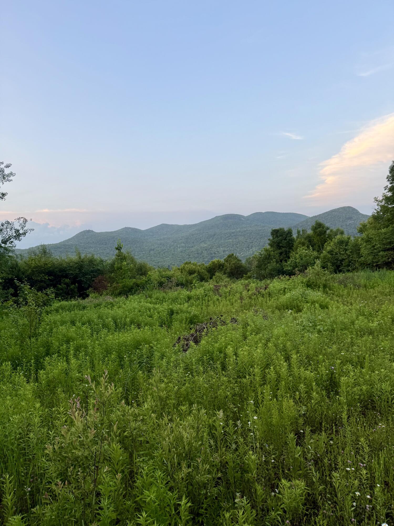 Image 3: IMG_4729