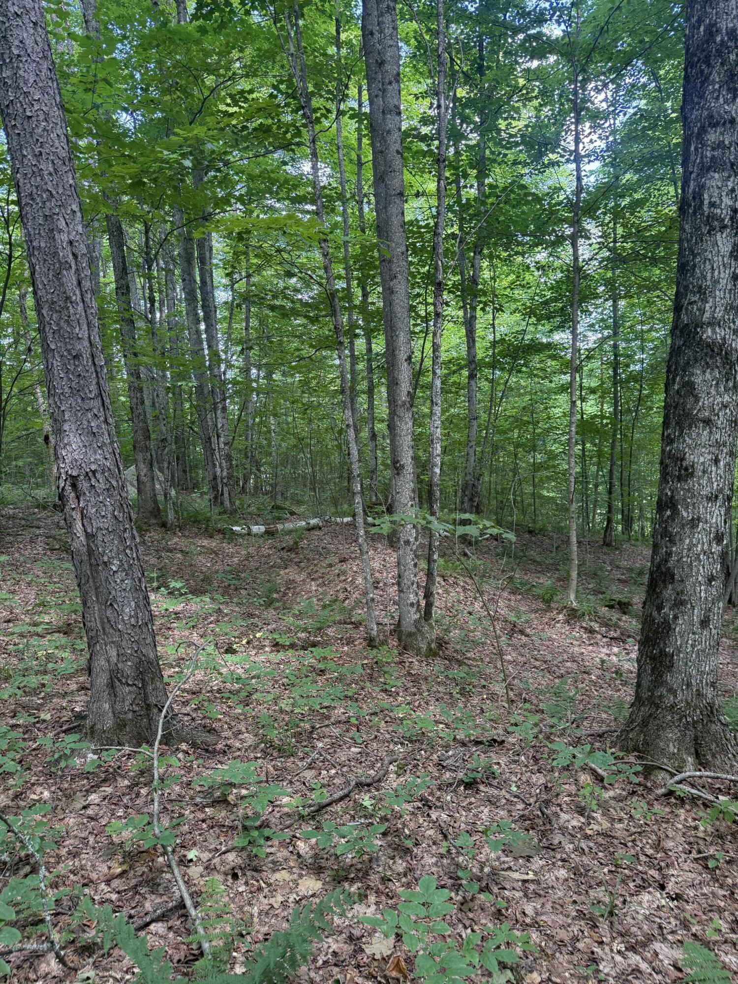 Image 4: IMG_4800