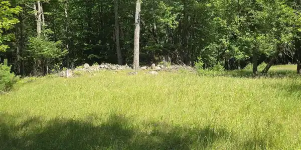 Image 3: 20260707_142457