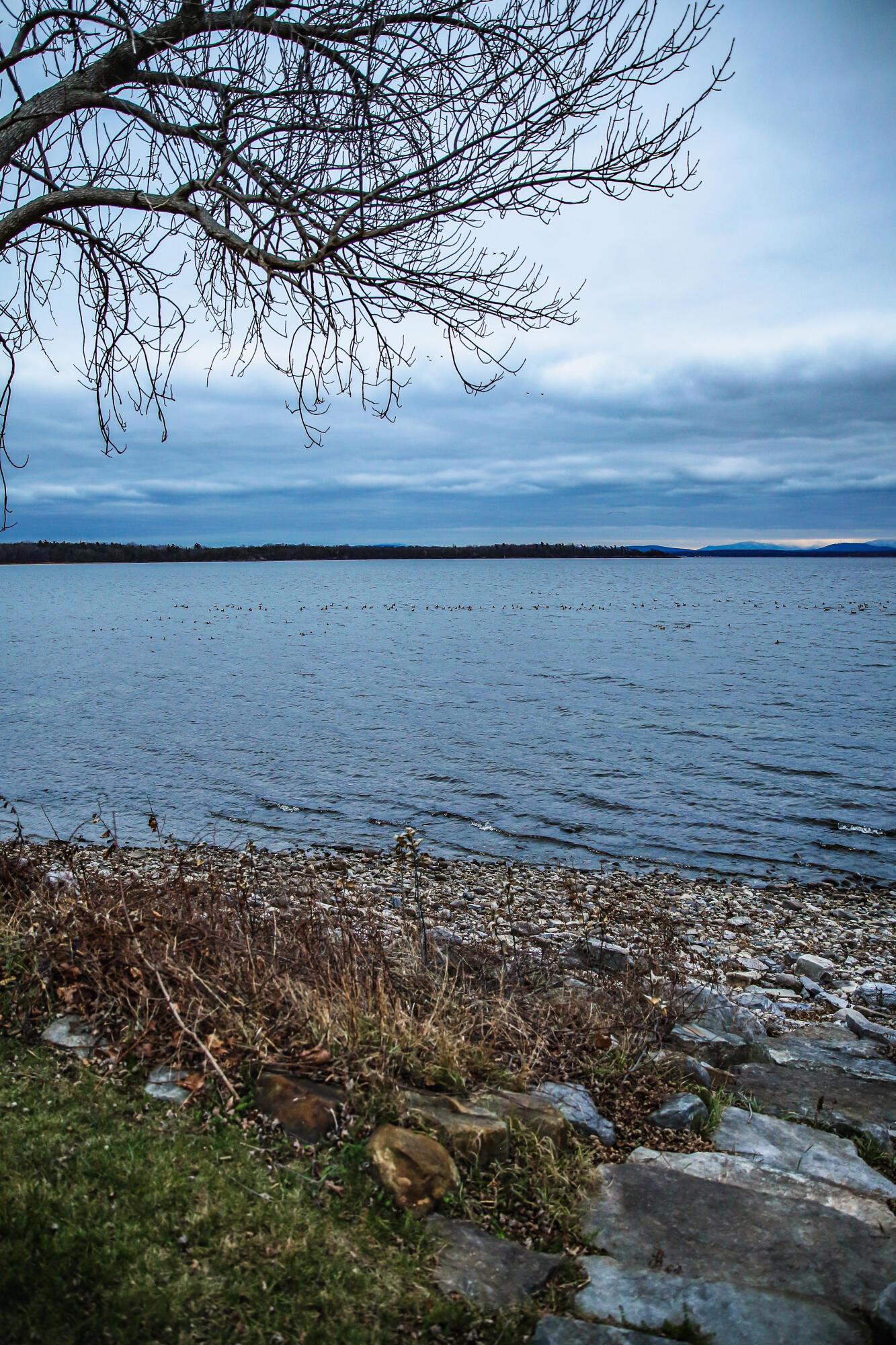 Image 4: untitled shoot-1766