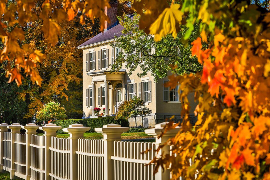 Image 4: nbRosslyn2024Autumn-9486