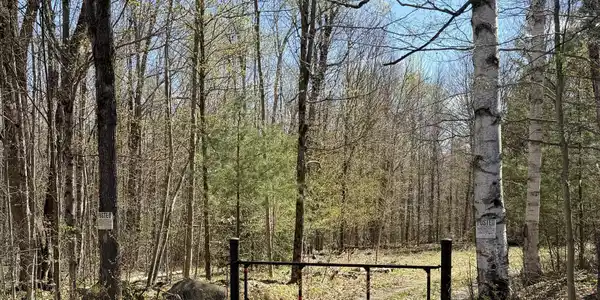 Image 2: Gate