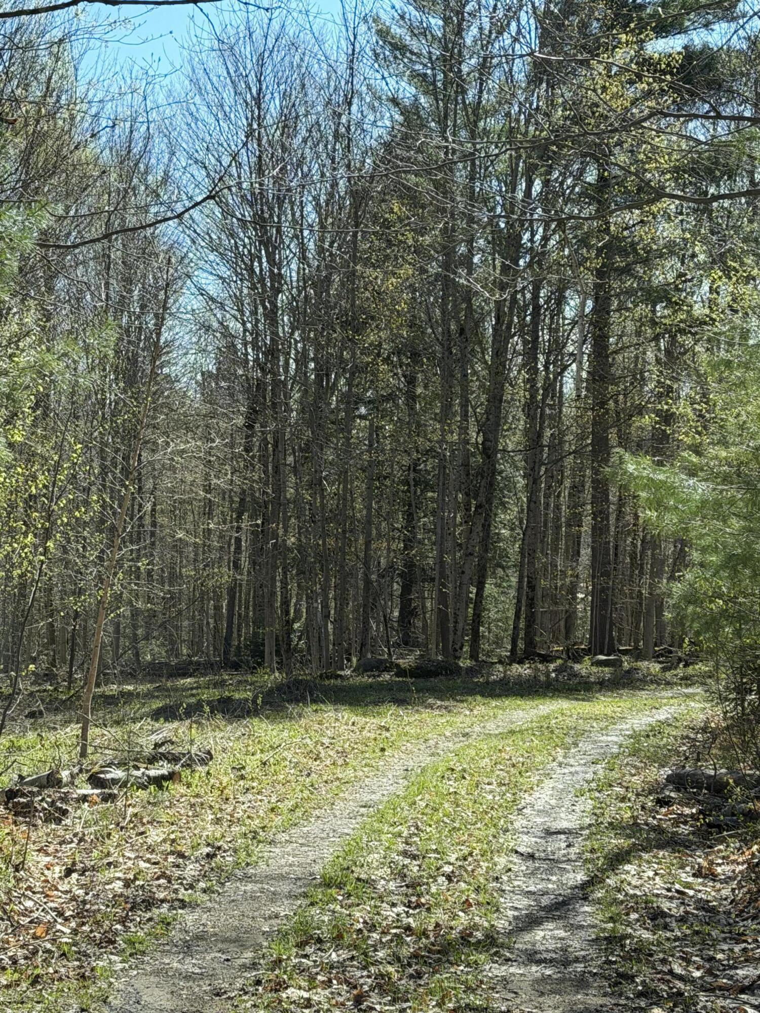 Image 3: Road