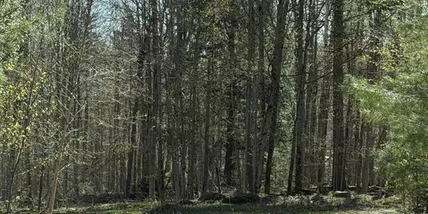 Image 3: Road