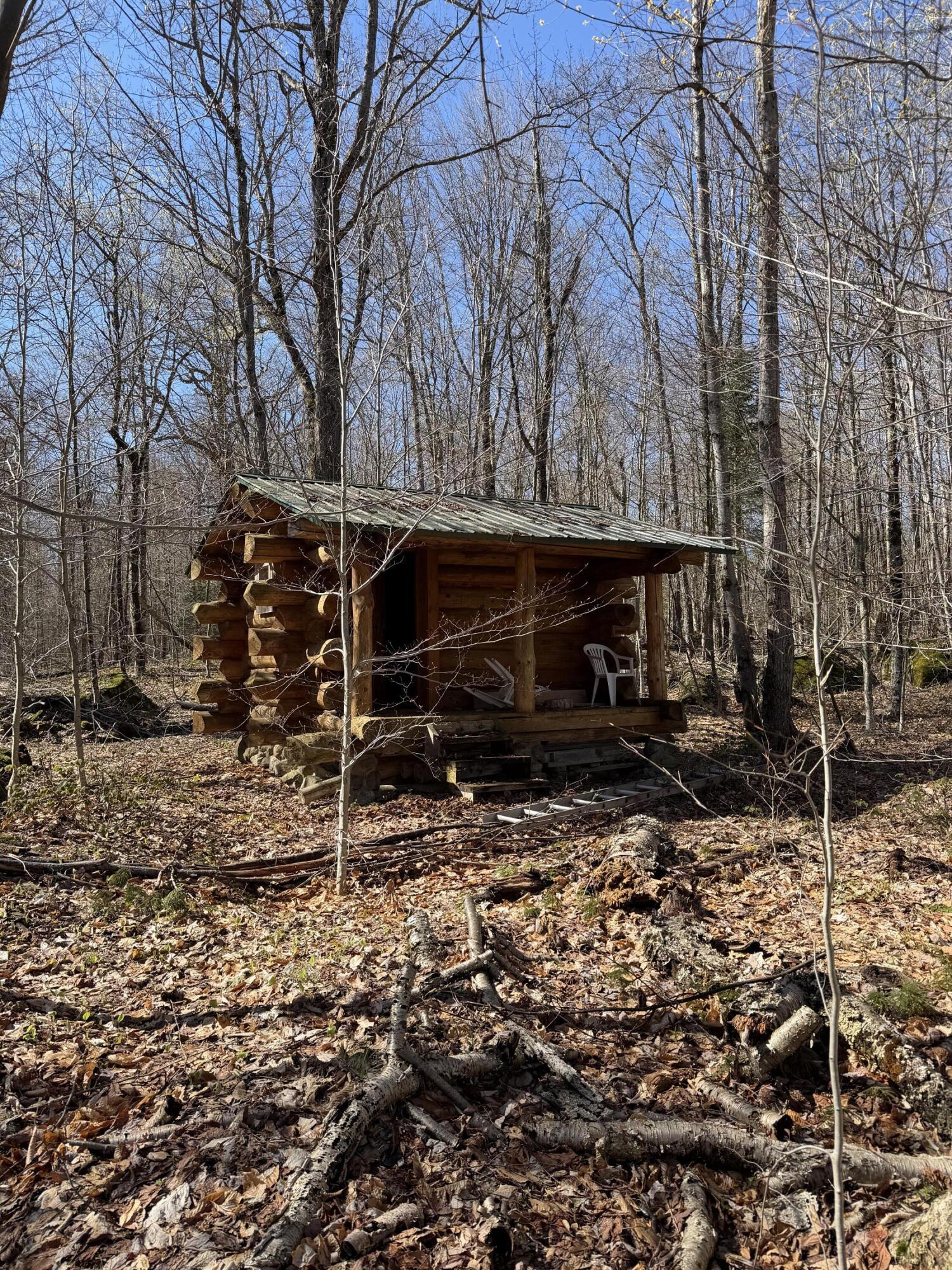 Image 4: Cabin
