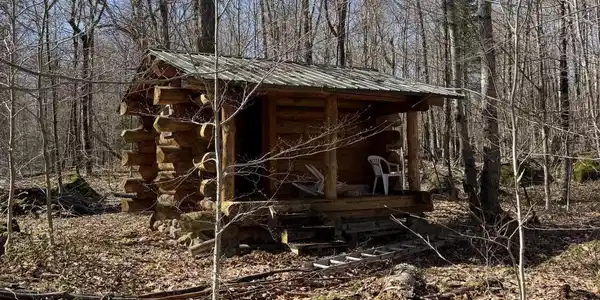 Image 4: Cabin