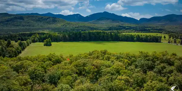 Image 4: DJI_0171-1