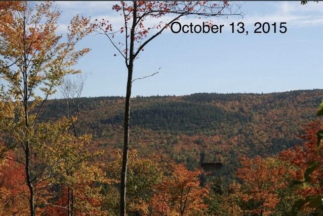 Image 4: image0