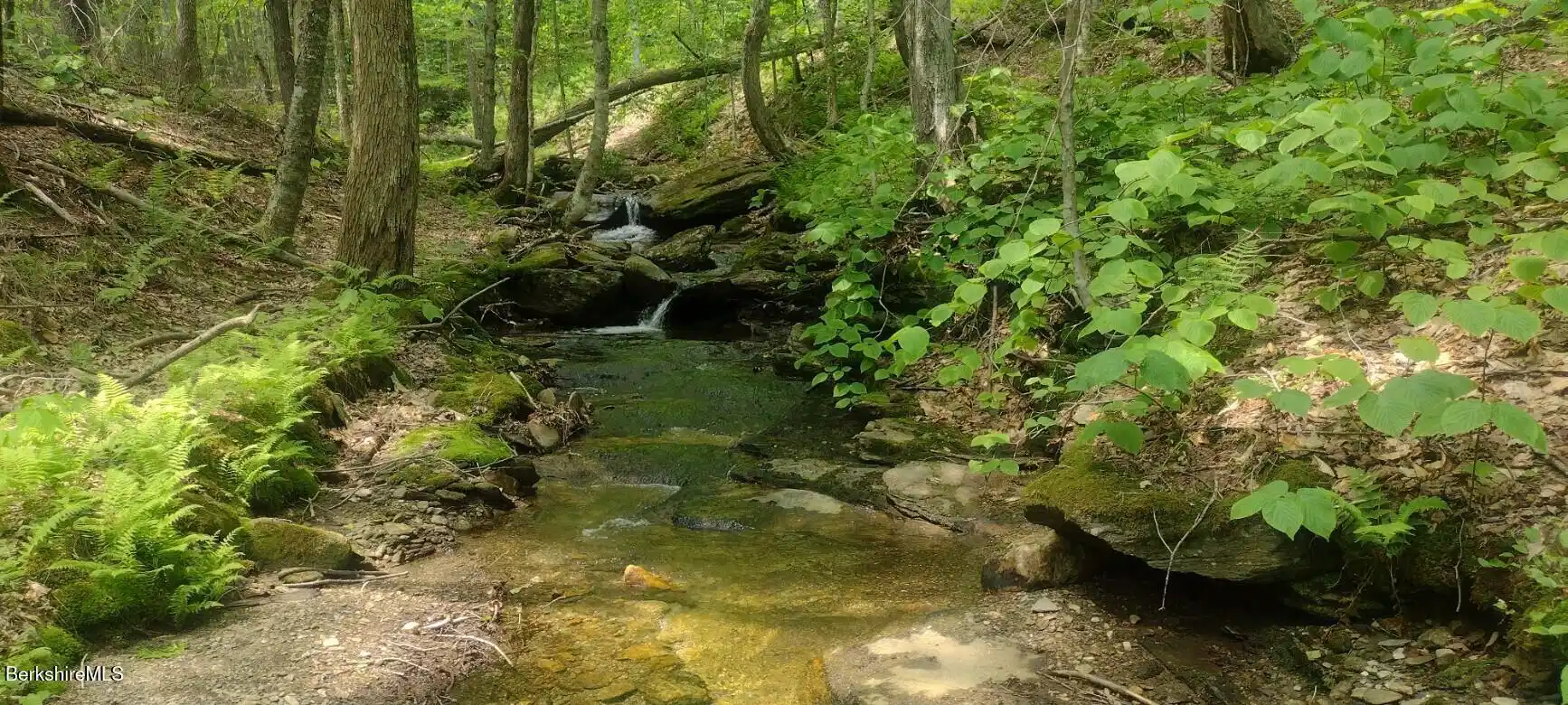 Image 1: stream on property