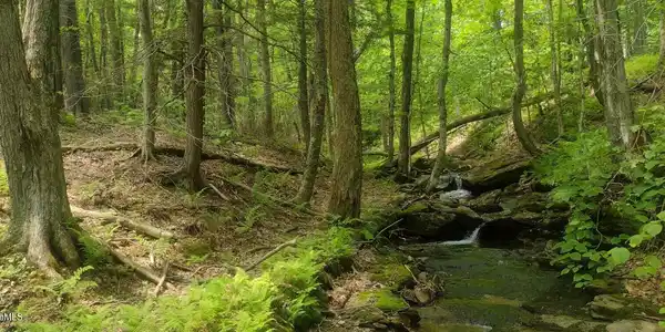 Image 2: stream waterfalls on property