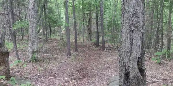 Image 3: trails throughout property