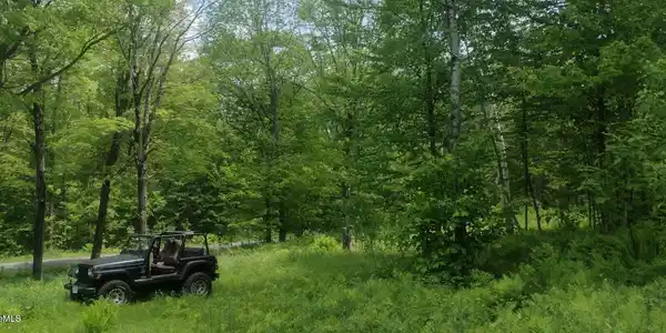 Image 4: summer time at property