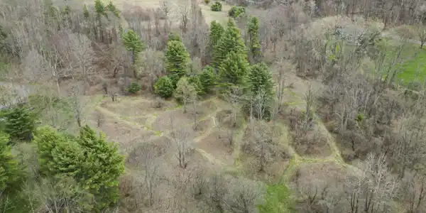 Image 2: Aerial View
