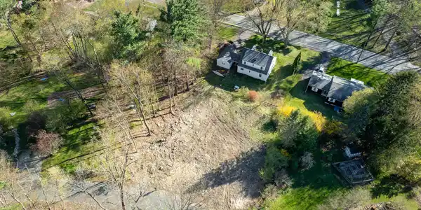 Image 4: Harrison Lot