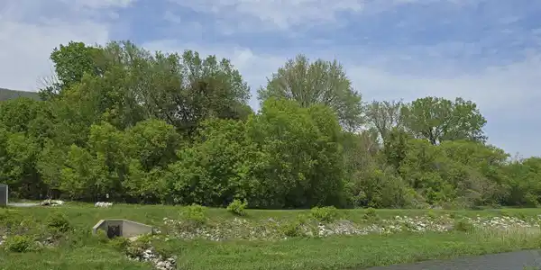 Image 4: Picture from across the street 2
