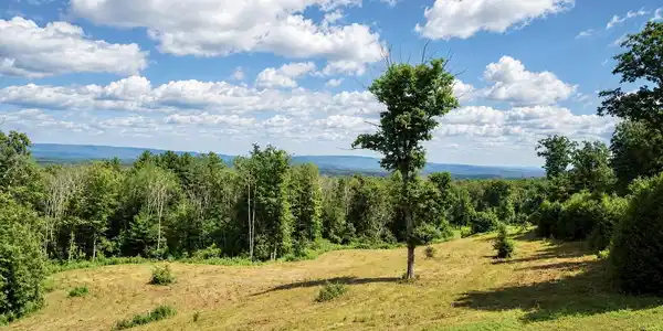 Image 3: view