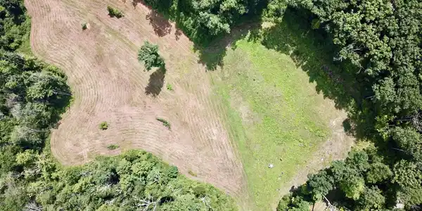 Image 4: areal