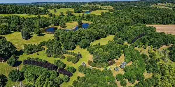 Image 4: Aerial