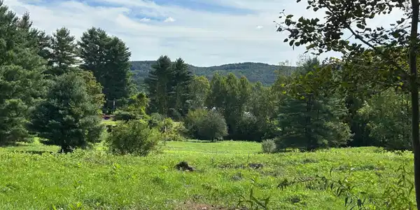 0 Brewer Branch Rd