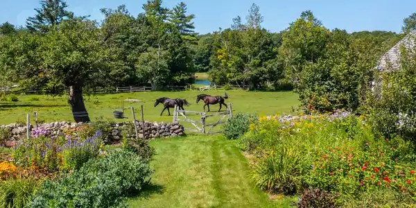 Image 2: 03_Paddock with horses_WPSIRLCF