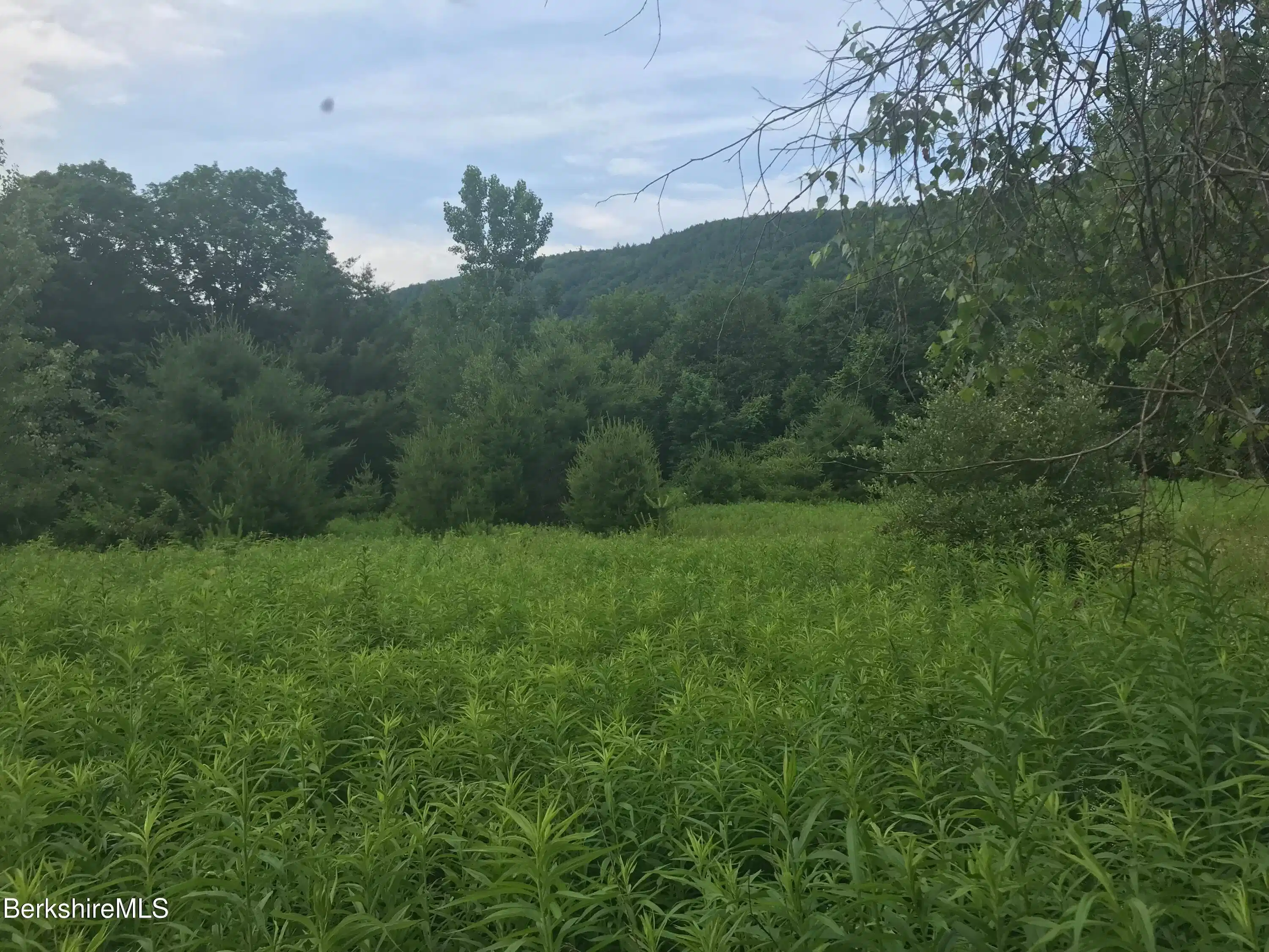 Image 1: Primary Land Photo