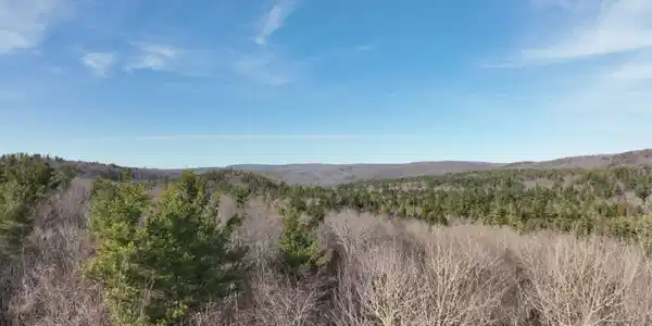LOT21 PARTRIDGE Ln