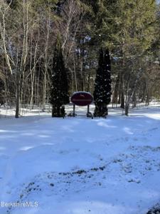 9063 Mountainside Dr