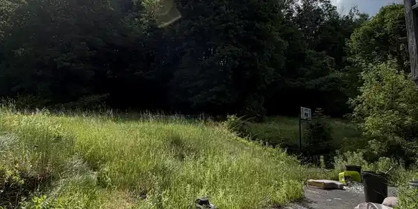 Image 2: paved drive way