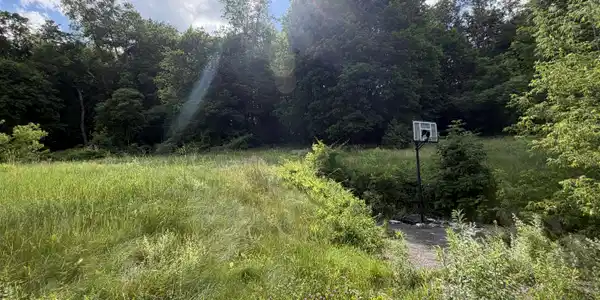 Image 4: back yard