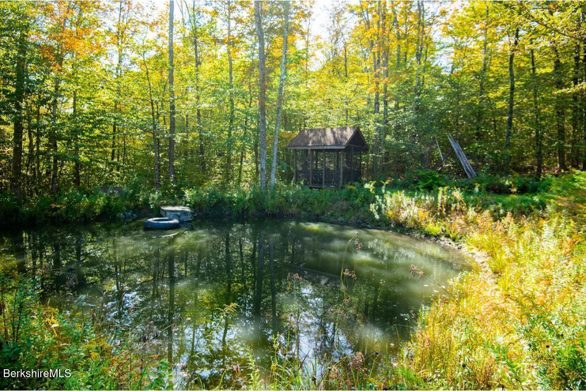 Image 2: pond