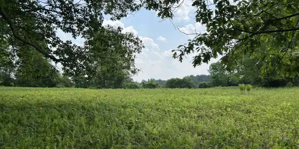 Image 3: Swamp Rd