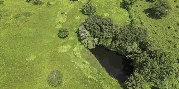 Image 4: Pond