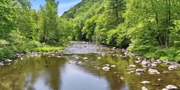 Image 4: Farmington River