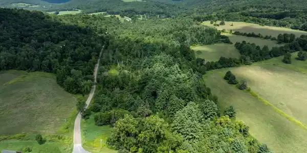 Image 4: N-Pownal-3