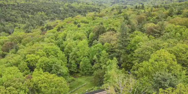 Image 4: 925 Aerial View