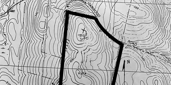 Image 3: Malloy.3